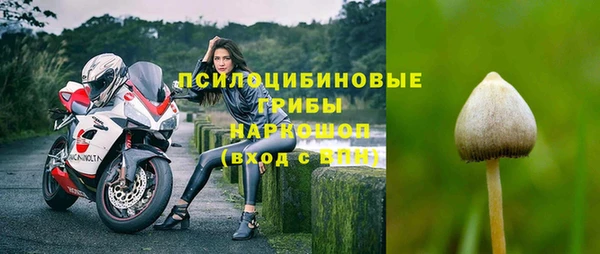амфетамин Алексин