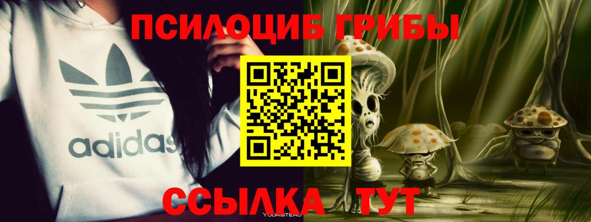 Галлюциногенные грибы GOLDEN TEACHER Алексеевка